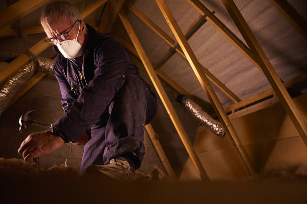 Best Specialized Insulation Services in Salem, VA